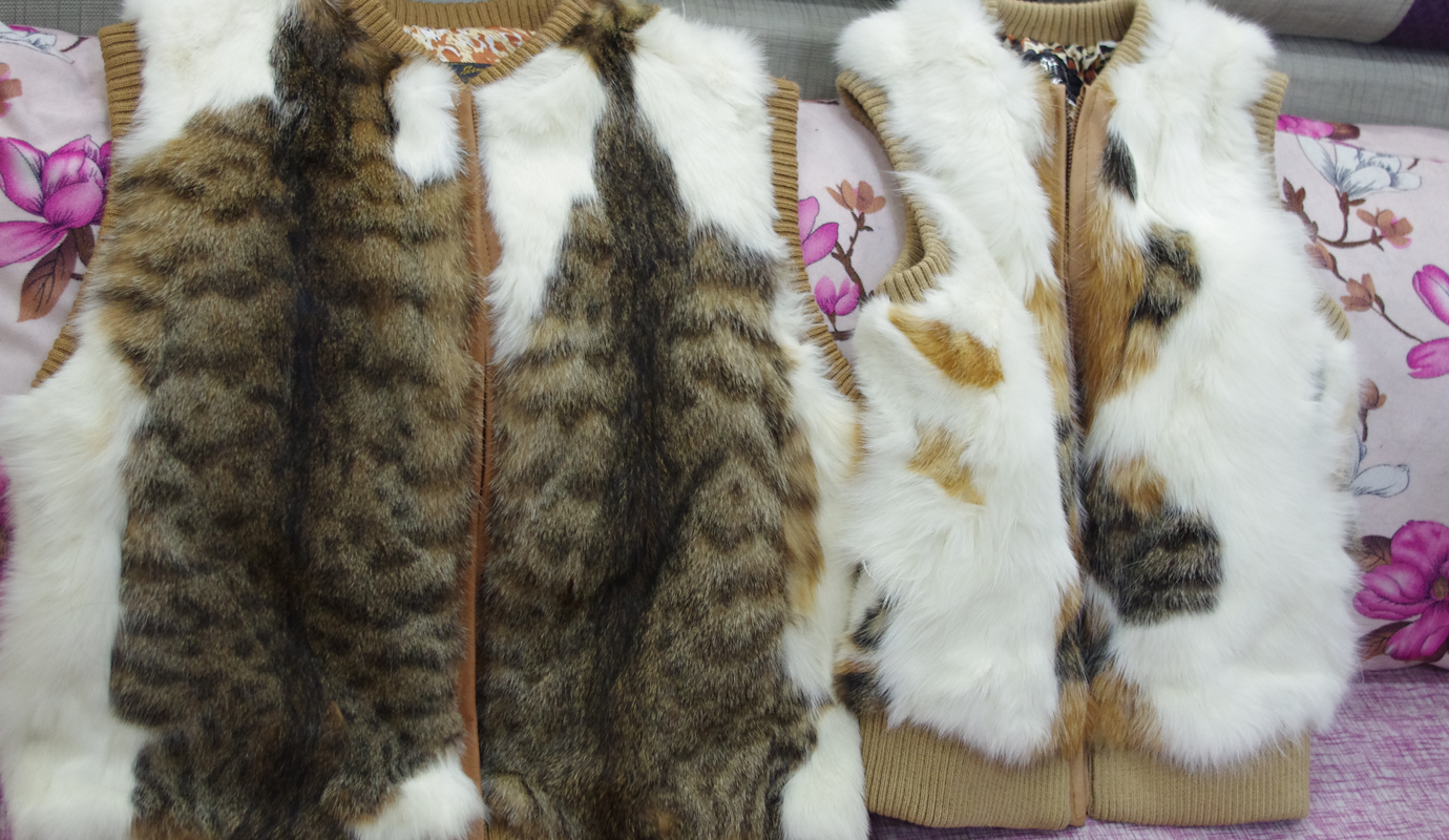 猫の毛皮