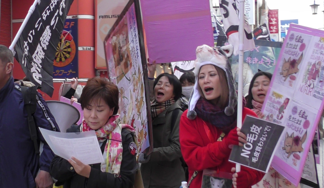 FUR FREE FRIDAY JAPAN