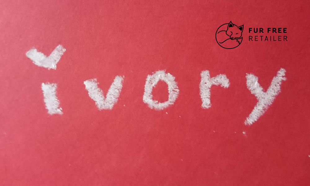 ivory