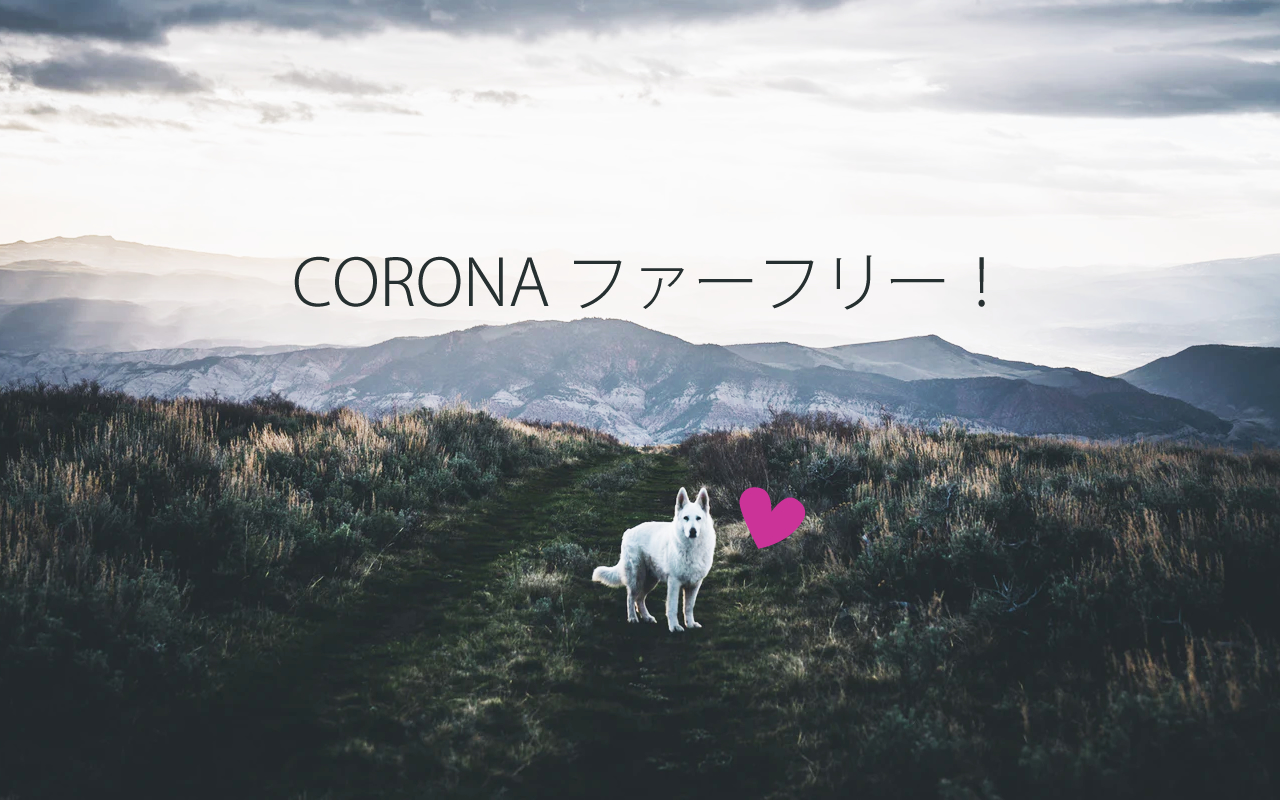 CORONAファーフリ