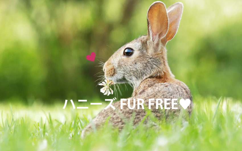 ハニーズファーフリー
