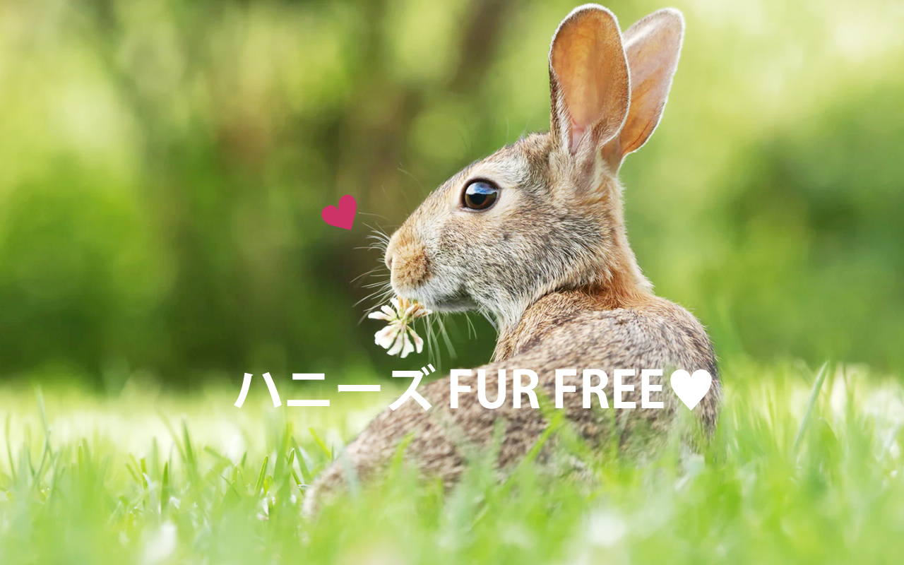 ハニーズファーフリー