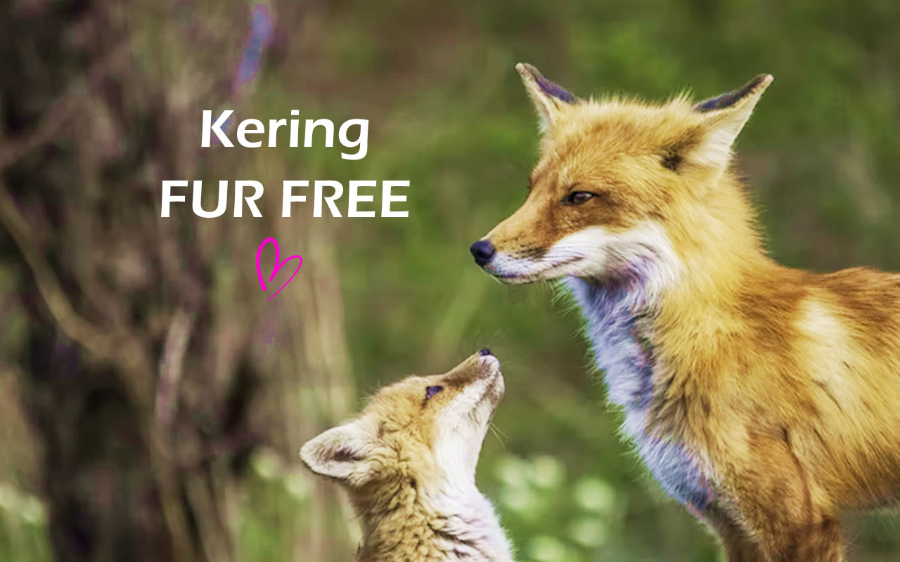 Kering　ファーフリー