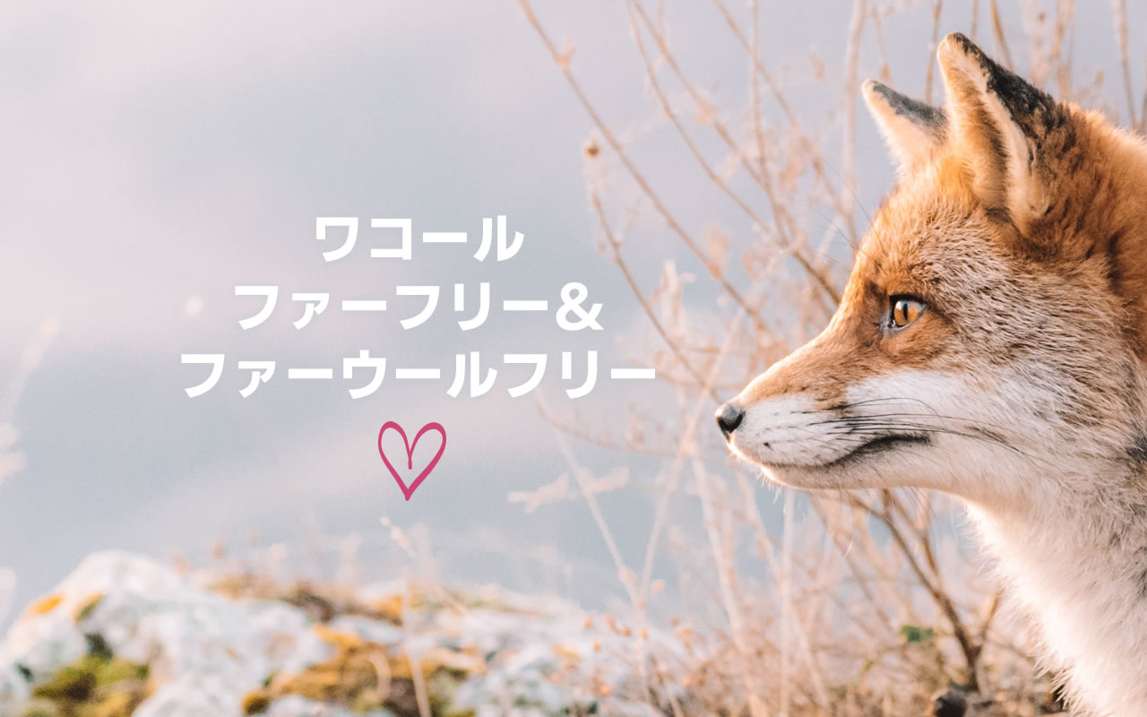 ワコール　ファーウールフリー